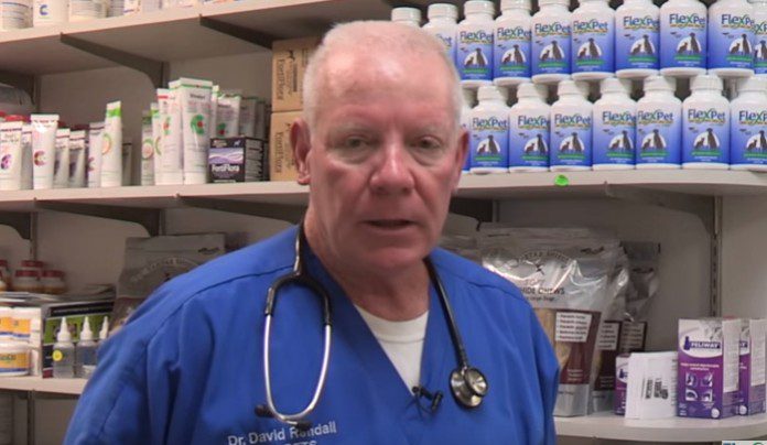 Pros and Cons of Dog Neutering Pros and Cons of Dog Neutering